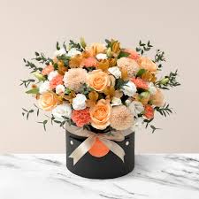 Bloom Box